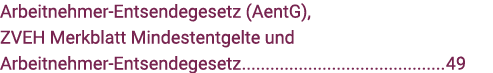 Arbeitnehmer-Entsendegesetz (AentG), ZVEH Merkblatt Mindestentgelte und Arbeitnehmer-Entsendegesetz 49